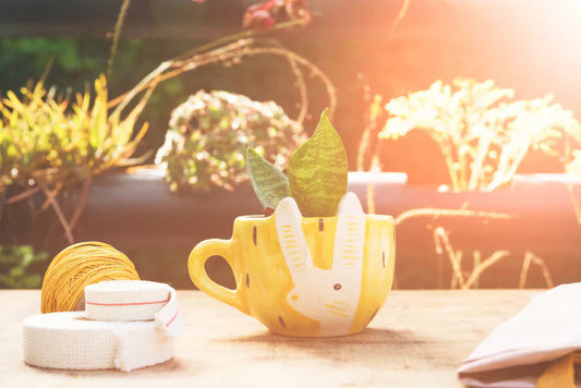 Summer at Home: Easy Updates for a Fresh Feel