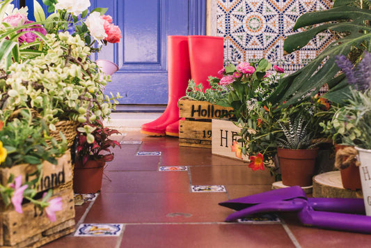 How Climate Shapes the Way We Decorate