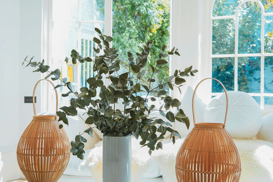 A Century of Style: The Evolution of Home Decor