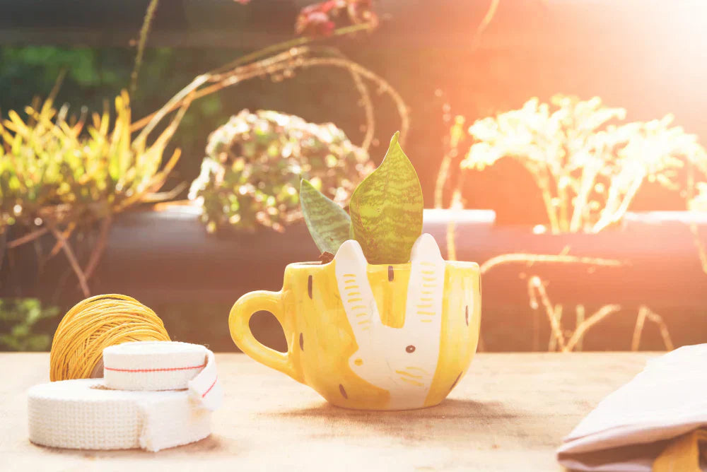 Summer at Home: Easy Updates for a Fresh Feel